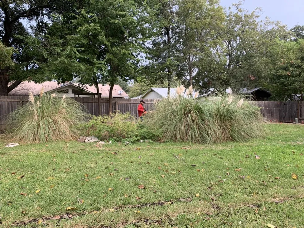 Reliable yard maintenance in Pflugerville, TX - Ugarte Tree Service