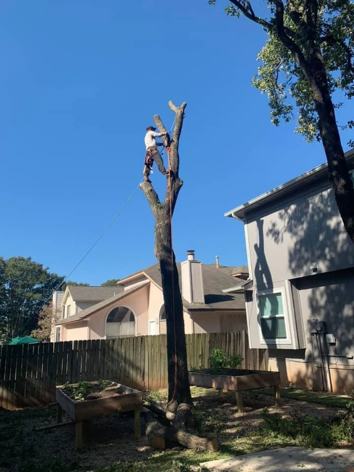 Custom yard maintenance with custom design in Pflugerville, TX by Ugarte Tree Service