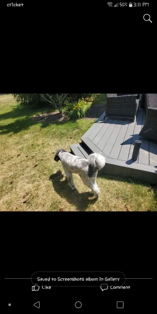 Expert landscape installation in Fort Wayne, IN by Ugly Lawns R Us