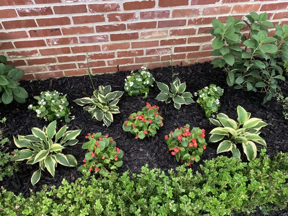 Local lawn care service in Baton Rouge, LA by UGO Professional Landscape Services