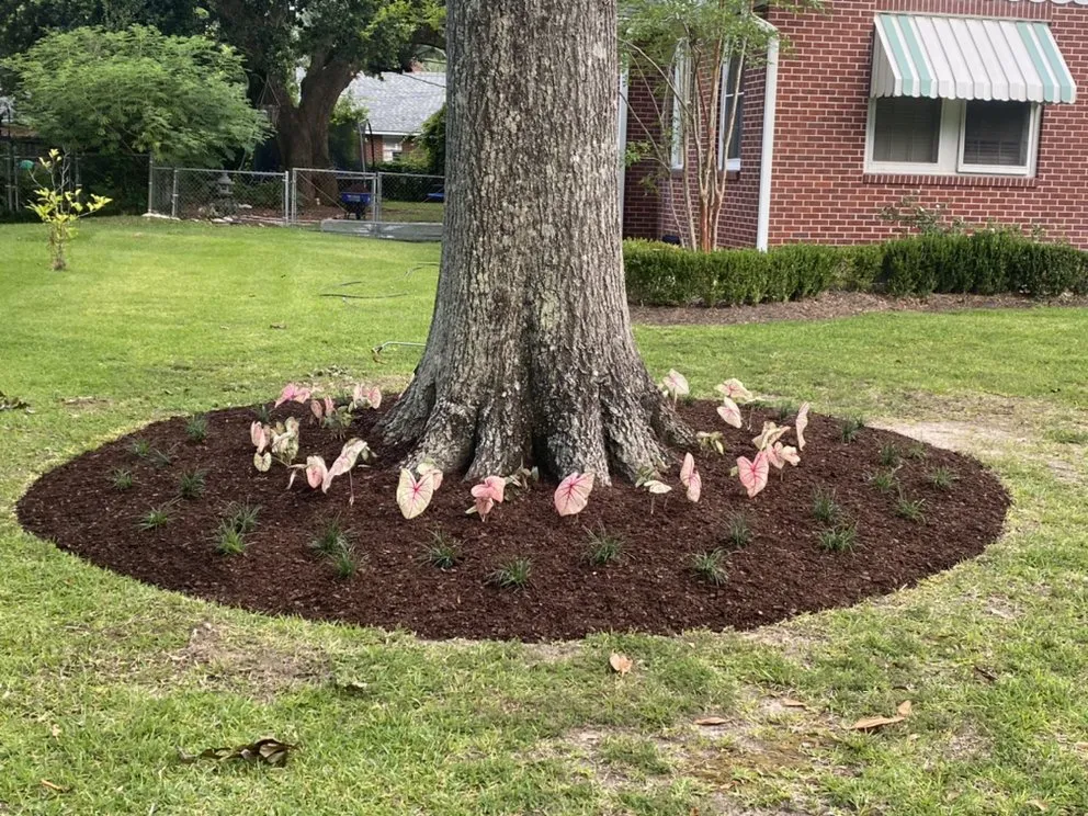 Top-rated garden landscaping for outdoor upgrades in Baton Rouge, LA by UGO Professional Landscape Services