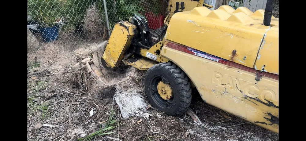 Custom yard cleanup service with custom design across Hollywood, FL - Ugrowimow