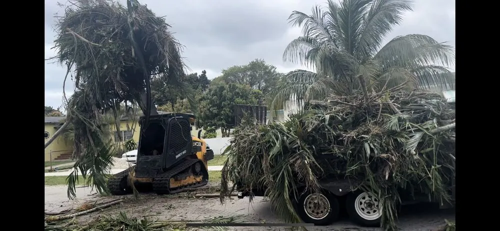 Reliable garden landscaping for outdoor upgrades across Hollywood, FL - Ugrowimow