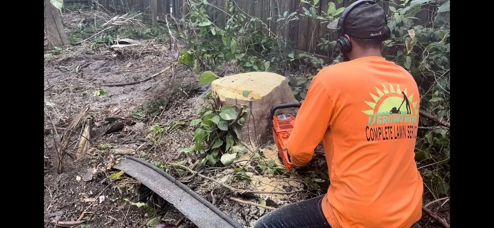 Top-rated landscape installation experts serving Hollywood, FL - Ugrowimow