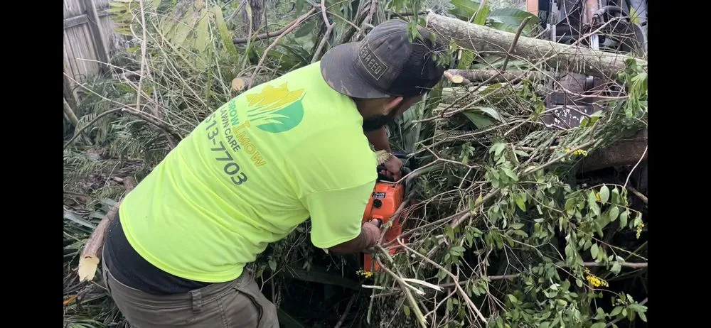 Expert yard maintenance for outdoor upgrades in Hollywood, FL by Ugrowimow