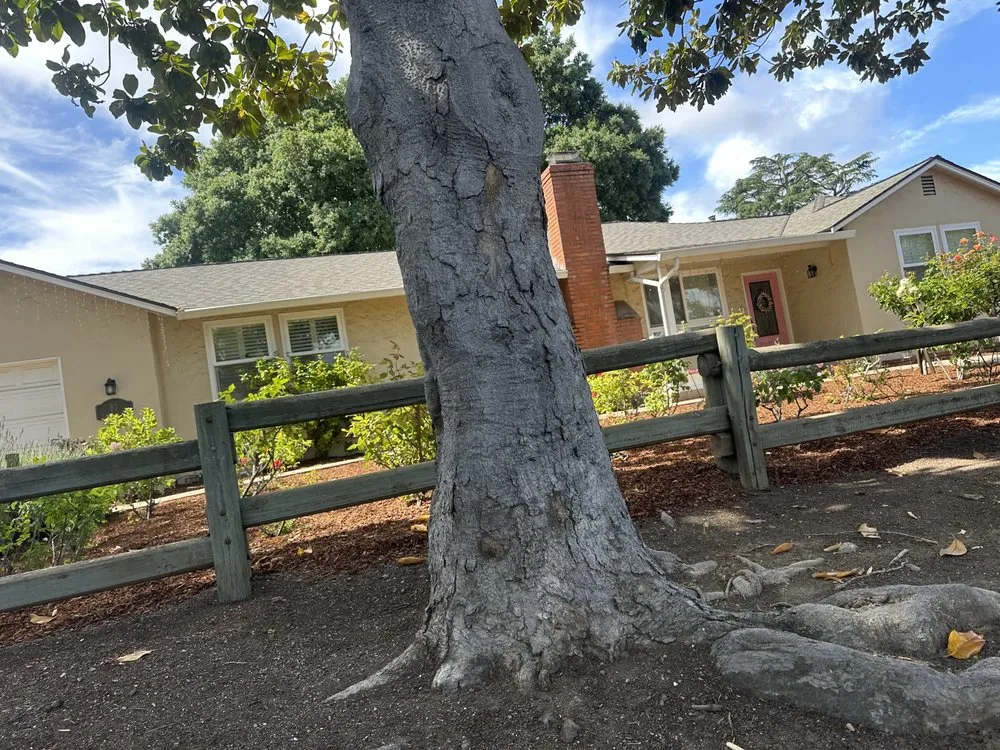 Trusted residential landscaping in Menlo Park, CA by UH Landscape