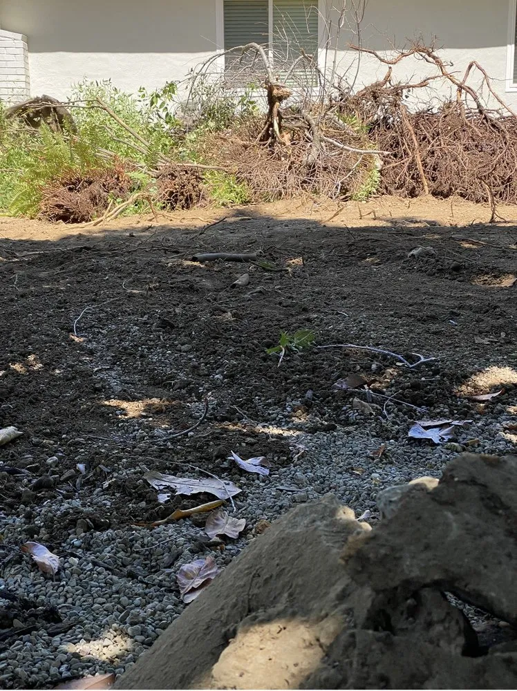 Trusted lawn mowing service in Menlo Park, CA - UH Landscape