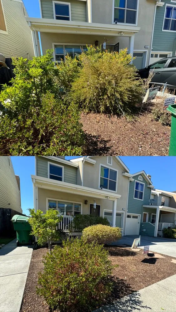 Top-rated lawn mowing service in Larkfield-Wikiup, CA - UJA Landscape