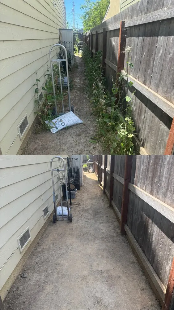 Reliable lawn mowing service in Larkfield-Wikiup, CA - UJA Landscape