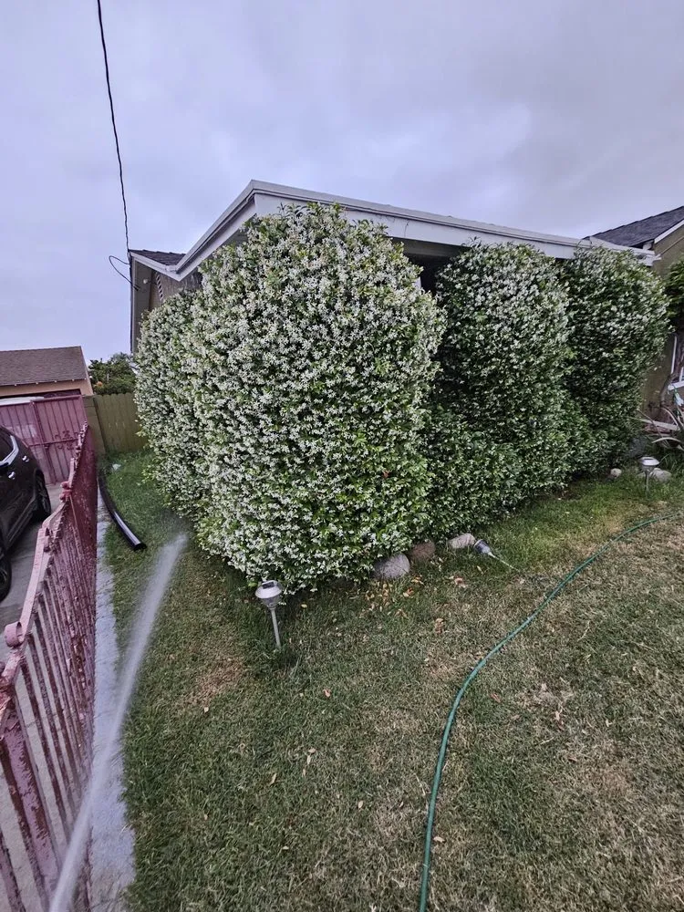 Reliable landscape design for residential properties in Hawaiian Gardens, CA by UJS Landscaping