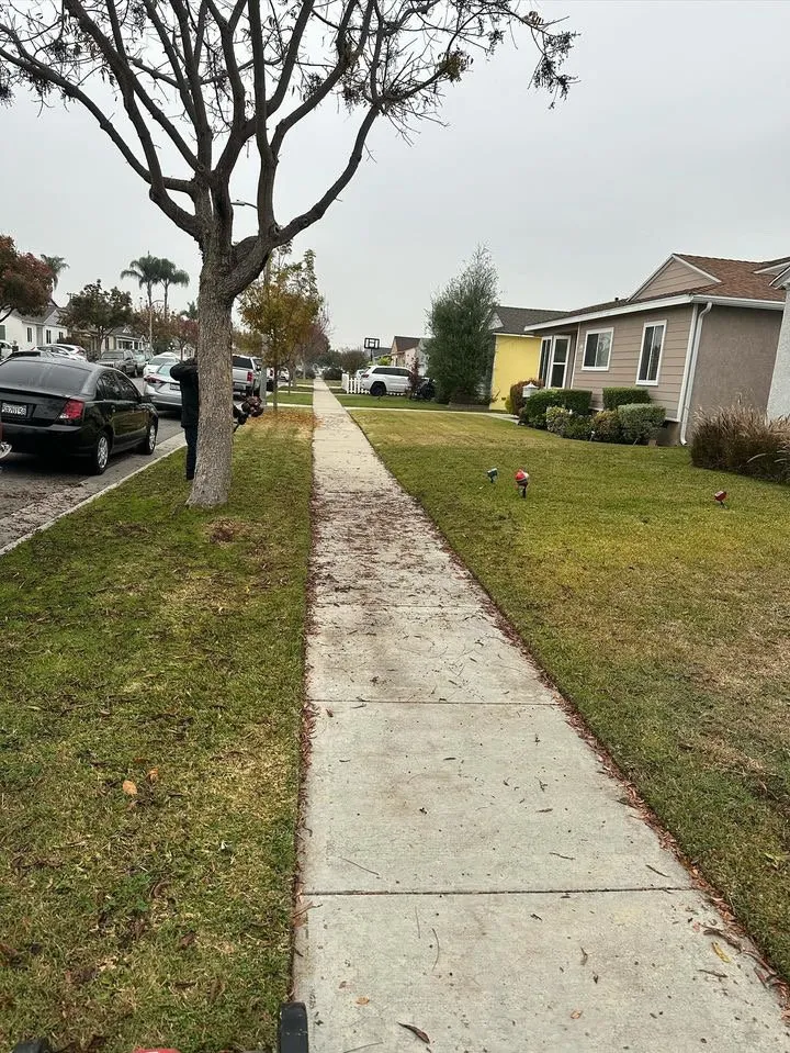 Affordable outdoor landscaping in Hawaiian Gardens, CA by UJS Landscaping