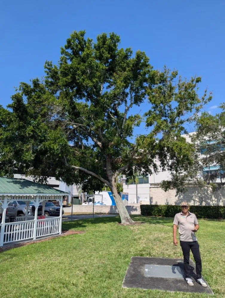 Expert residential landscaping near you in Zephyrhills, FL by UK Trees