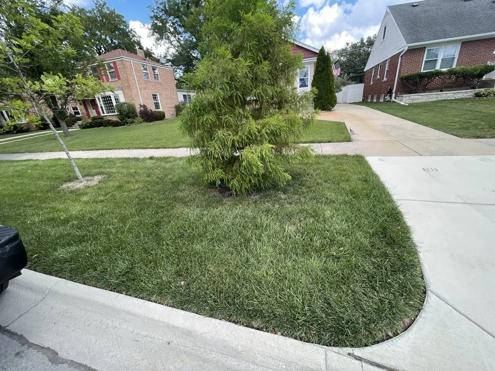 Expert landscape design in Chicago, IL - UL Landscaping