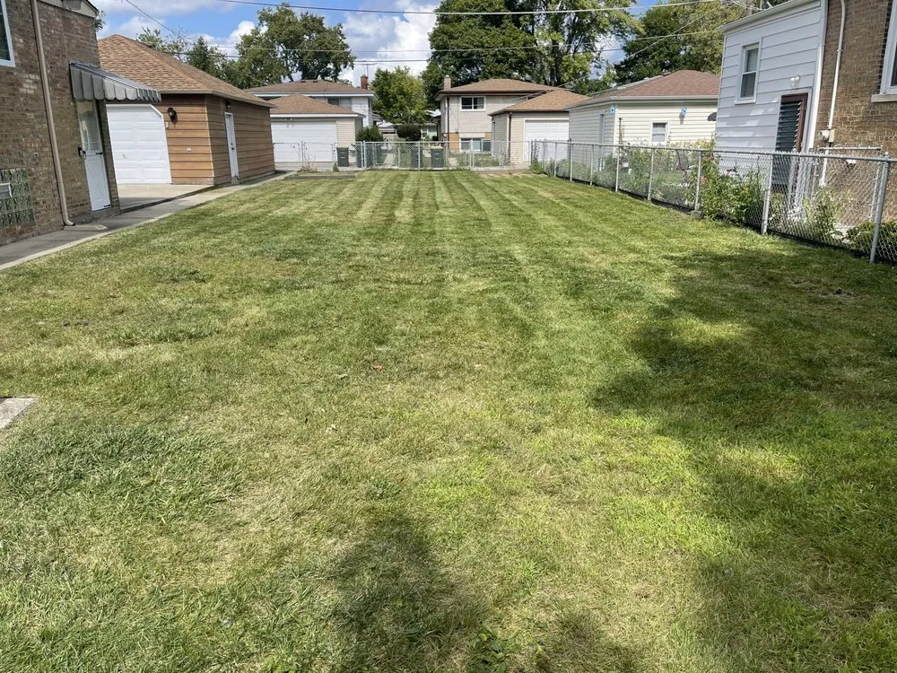 Custom outdoor landscaping for year-round maintenance in Chicago, IL by UL Landscaping