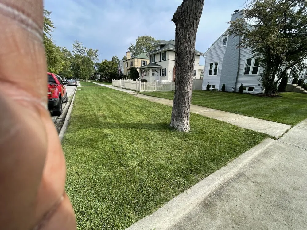 Trusted yard maintenance for beautiful yards across Chicago, IL - UL Landscaping