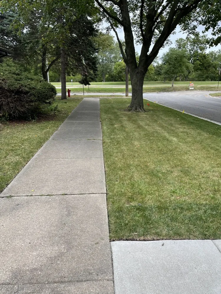 Local yard cleanup service in Chicago, IL - UL Landscaping