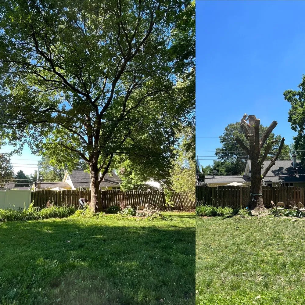 Top-rated yard cleanup service near you across St. Louis, MO - Ulett Tree & Landscaping