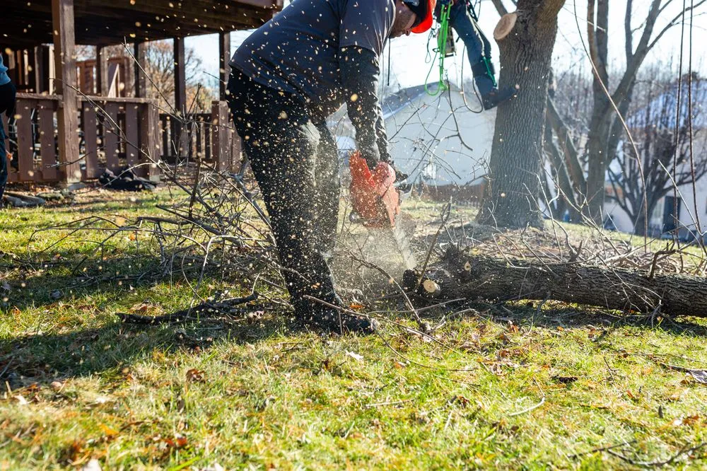 Reliable yard maintenance near you in St. Louis, MO by Ulett Tree & Landscaping