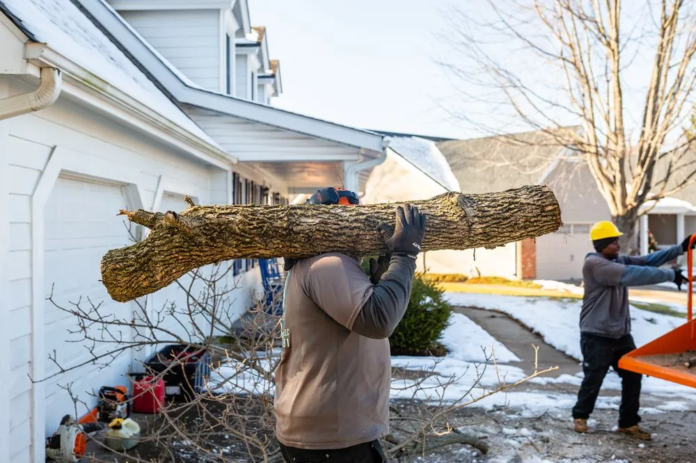 Top-rated yard cleanup service for homes in St. Louis, MO by Ulett Tree & Landscaping