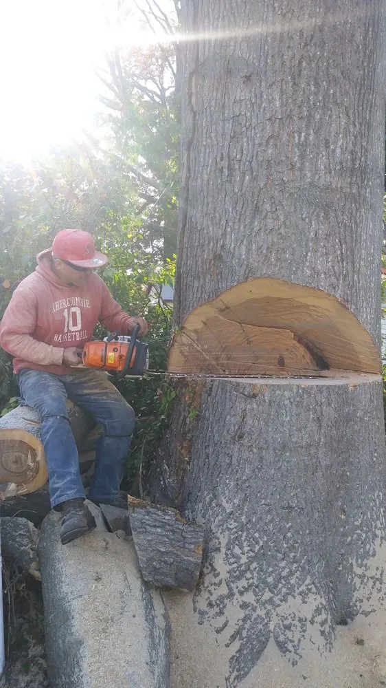 Affordable yard cleanup service experts serving St. Louis, MO - Ulett Tree & Landscaping