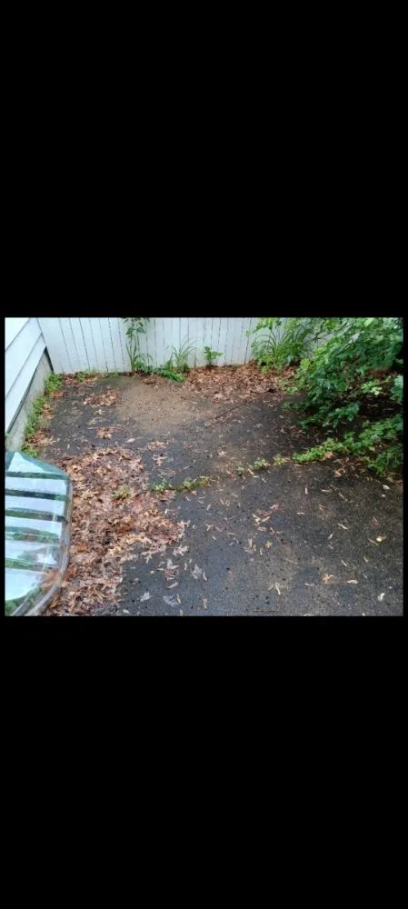 Reliable lawn mowing service in South Saint Paul, MN by ulises Clean Cut Lawns