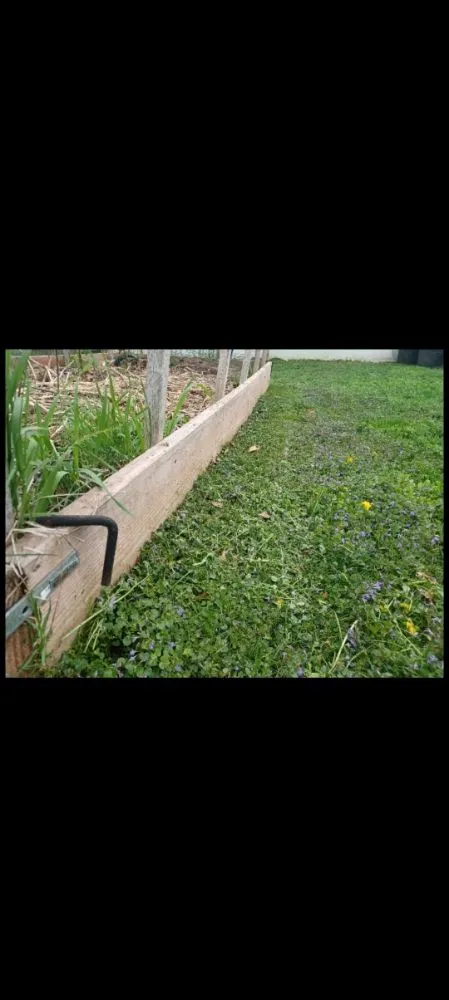 Trusted garden landscaping for year-round maintenance across South Saint Paul, MN - ulises Clean Cut Lawns