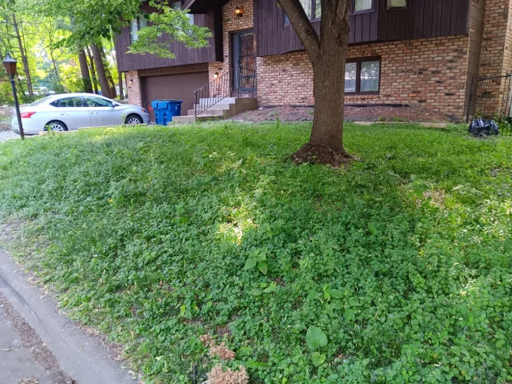 Professional landscape installation experts serving South Saint Paul, MN - ulises Clean Cut Lawns