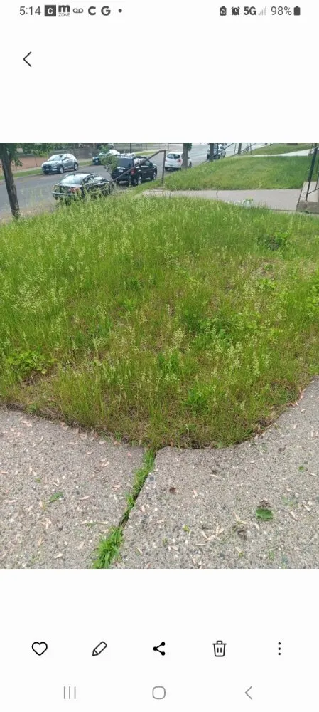 Top-rated yard maintenance experts serving South Saint Paul, MN - ulises Clean Cut Lawns