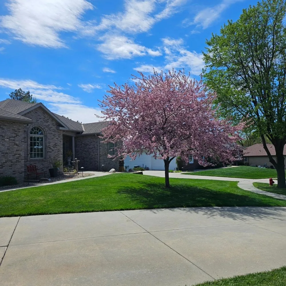Custom lawn care service in Lincoln, NE by Ulrich Lawn Care