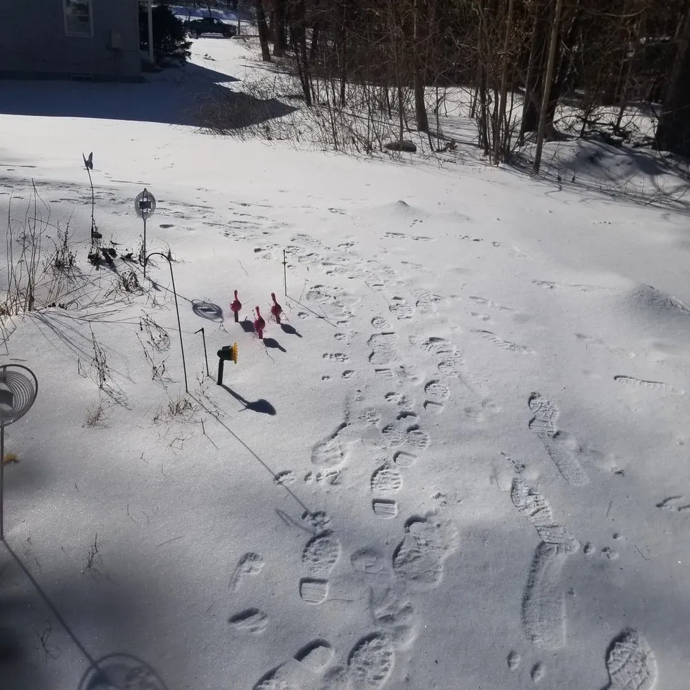 Reliable lawn mowing service for residential properties across Bedford, NH - Ulster Property Services