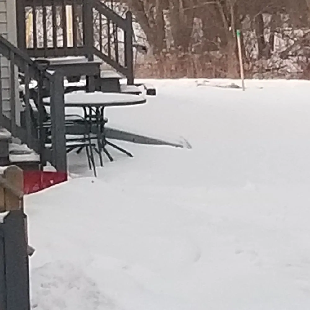 Top-rated residential landscaping in Bedford, NH - Ulster Property Services