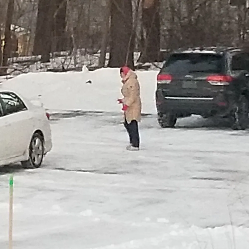 Reliable landscape design experts serving Bedford, NH - Ulster Property Services