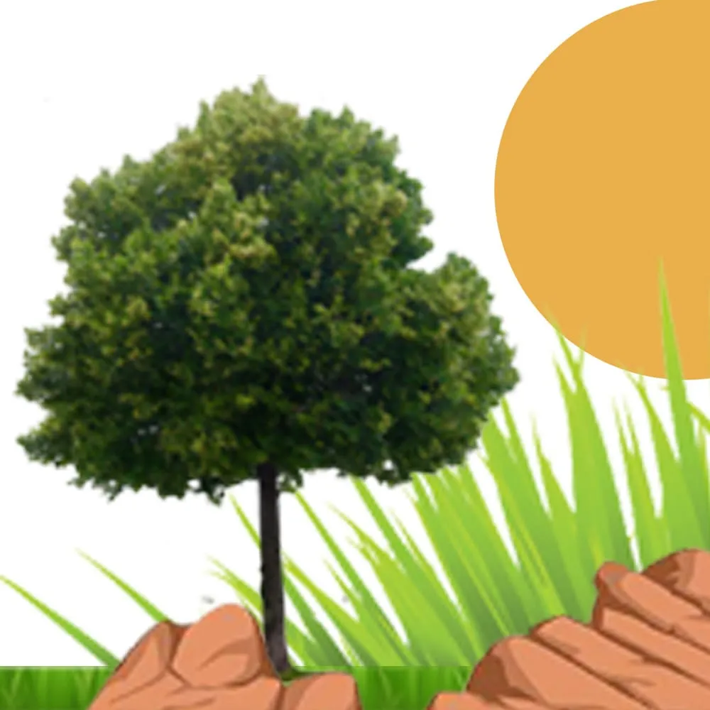 Professional residential landscaping in Pearland, TX by Ultimate Care Landscaping