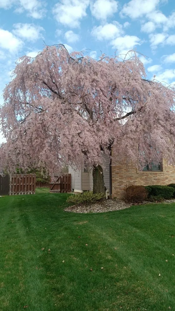 Top-rated landscape design with custom design across Flint, MI - Ultimate Care Lawn Service