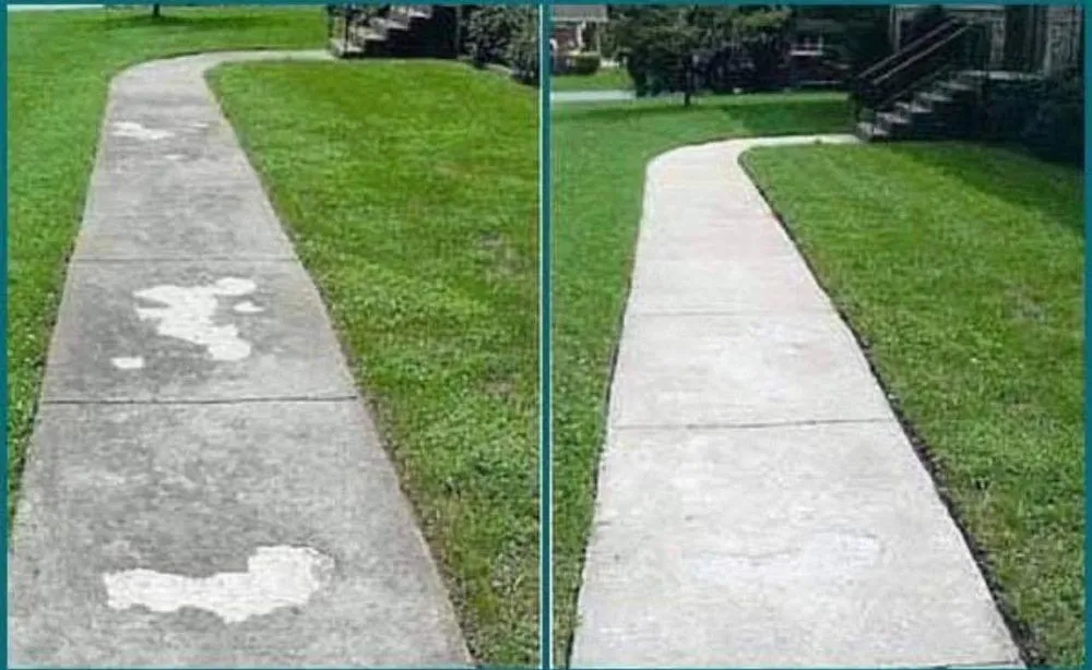 Affordable lawn care service experts serving Salisbury, NC - Ultimate Clean Service