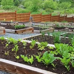 Custom landscaping services for beautiful yards across Williamstown, NJ - Ultimate Dream Hardscaping