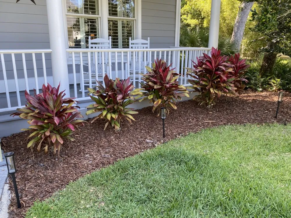 Professional yard maintenance in St. Augustine, FL - Ultimate Edge Lawn Service