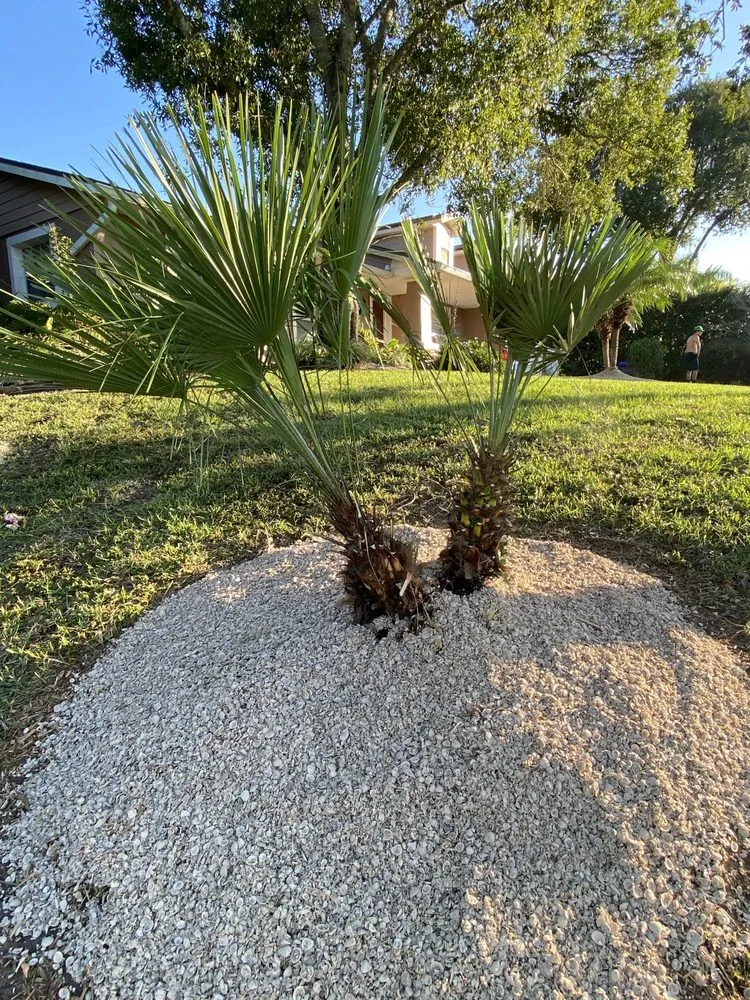 Top-rated garden landscaping for year-round maintenance in St. Augustine, FL by Ultimate Edge Lawn Service