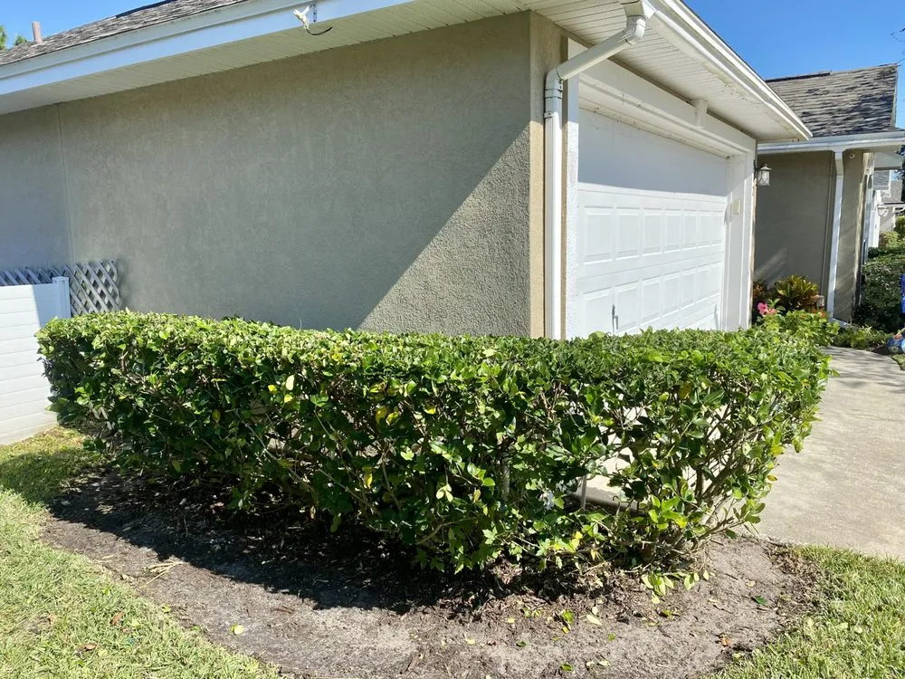 Custom garden landscaping experts serving St. Augustine, FL - Ultimate Edge Lawn Service