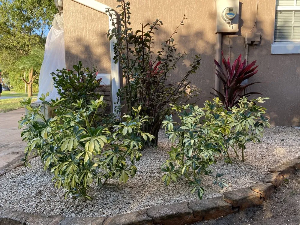 Top-rated garden landscaping in St. Augustine, FL by Ultimate Edge Lawn Service