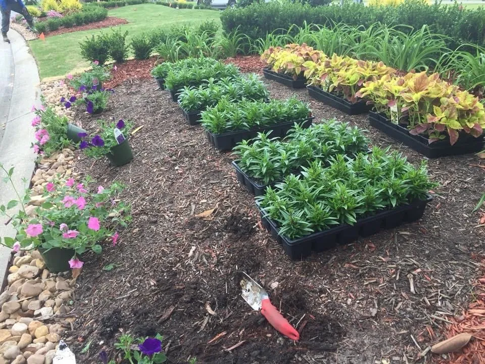 Expert lawn mowing service with custom design in Merrydale, LA by Ultimate Exterior