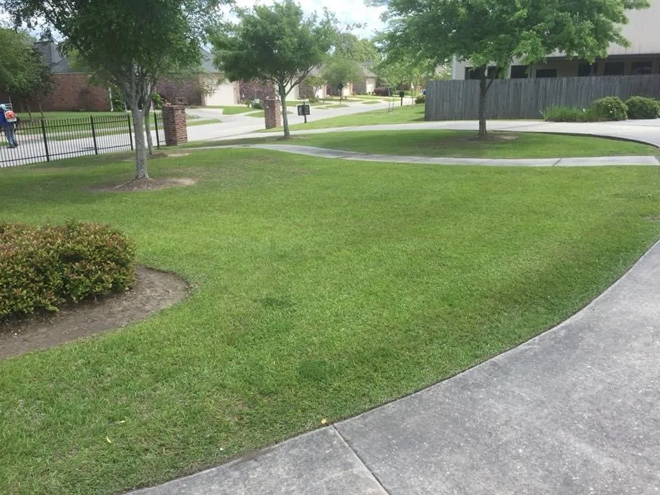 Reliable yard cleanup service experts serving Merrydale, LA - Ultimate Exterior