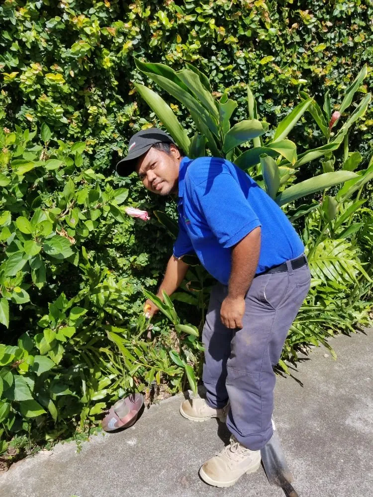 Reliable landscape design for homes across Honolulu, HI - Ultimate Innovations