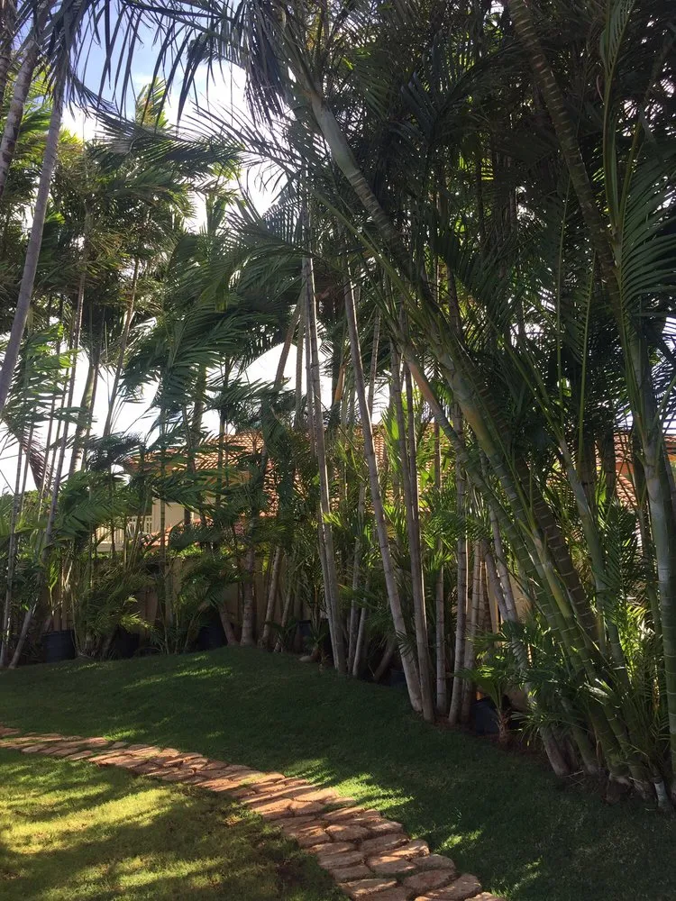 Custom garden landscaping in Honolulu, HI - Ultimate Innovations