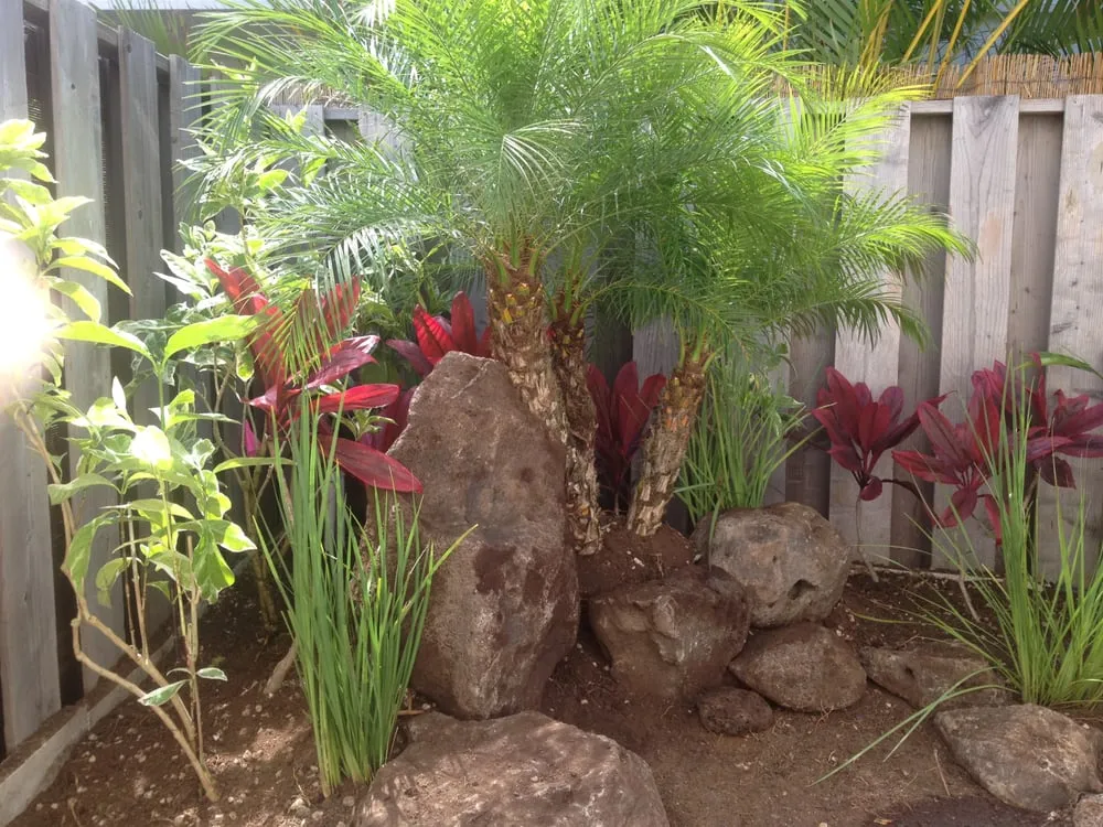 Custom landscaping services experts serving Honolulu, HI - Ultimate Innovations