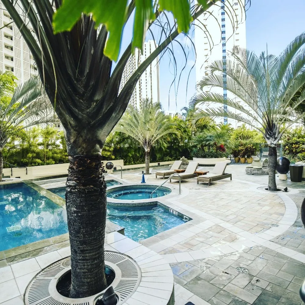 Trusted residential landscaping in Honolulu, HI - Ultimate Innovations