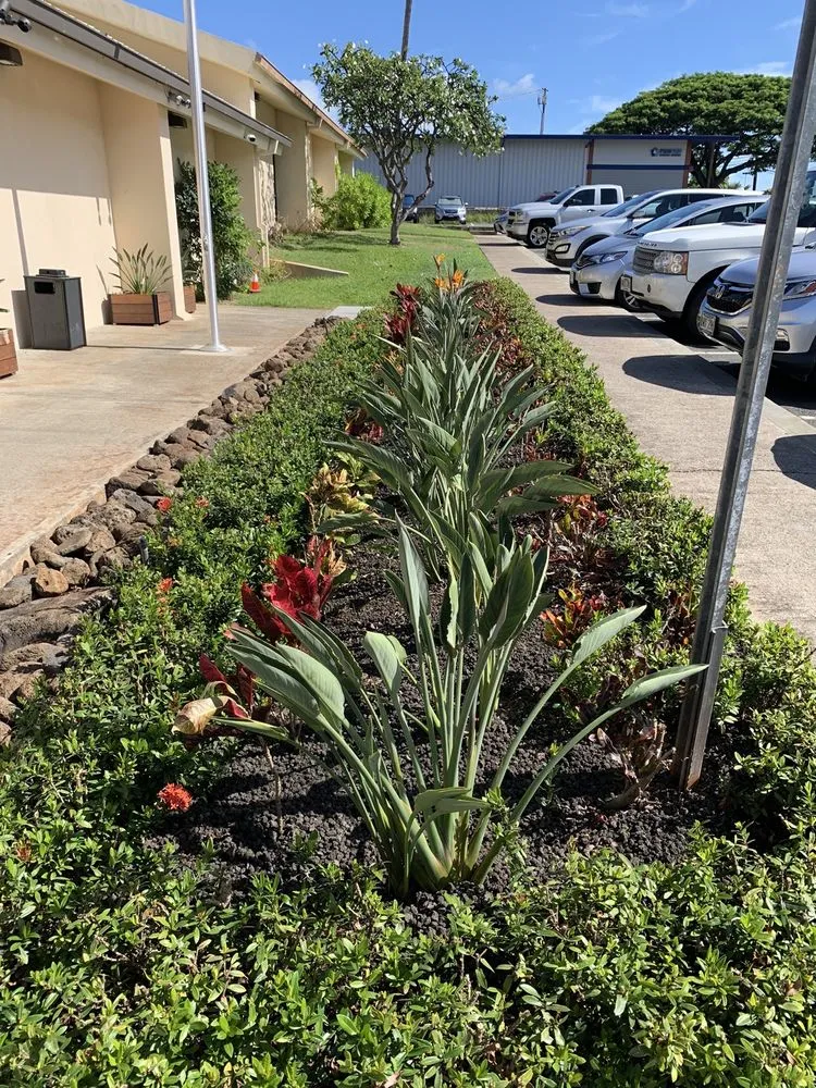 Custom residential landscaping for beautiful yards in Honolulu, HI by Ultimate Innovations