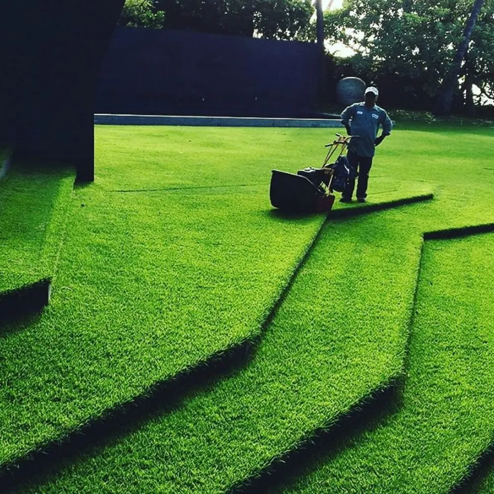 Professional lawn mowing service in Honolulu, HI by Ultimate Innovations