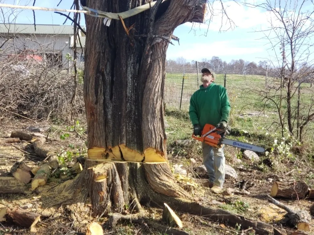 Professional lawn care service in Richmond, MO by Ultimate Land Solutions