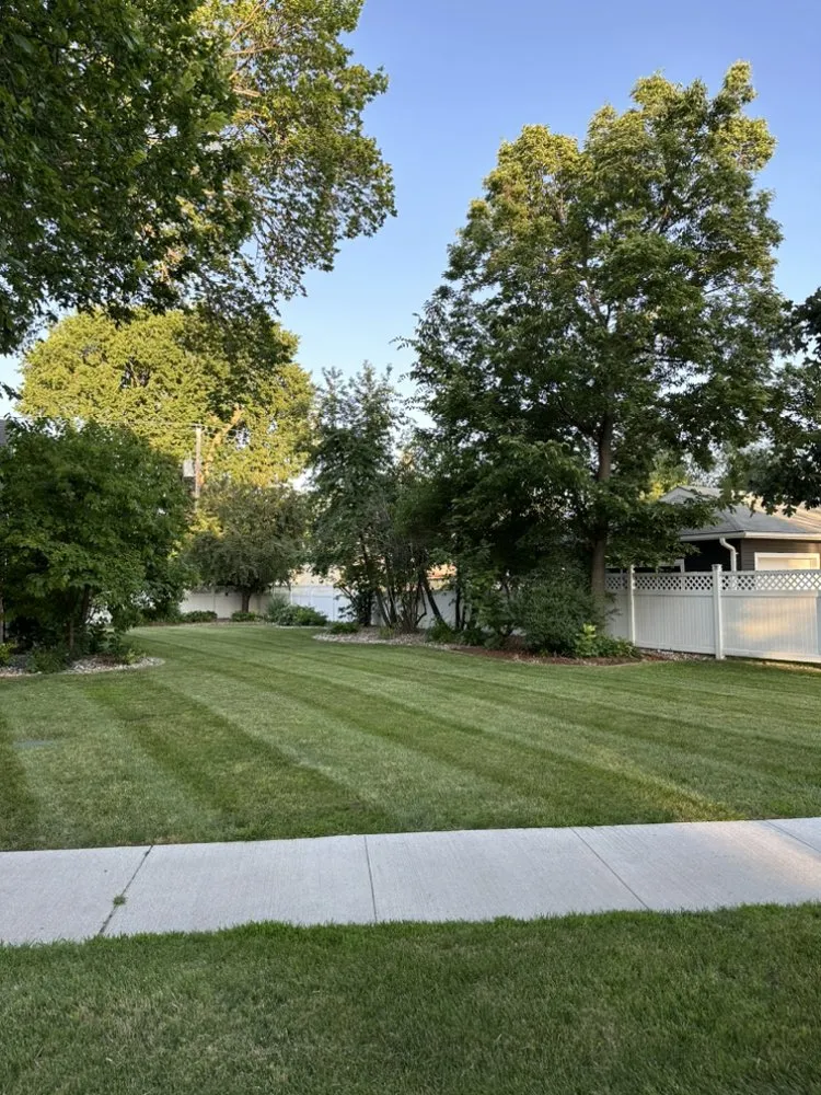 Expert landscape design for outdoor upgrades in Warren, MN by Ultimate Landcare